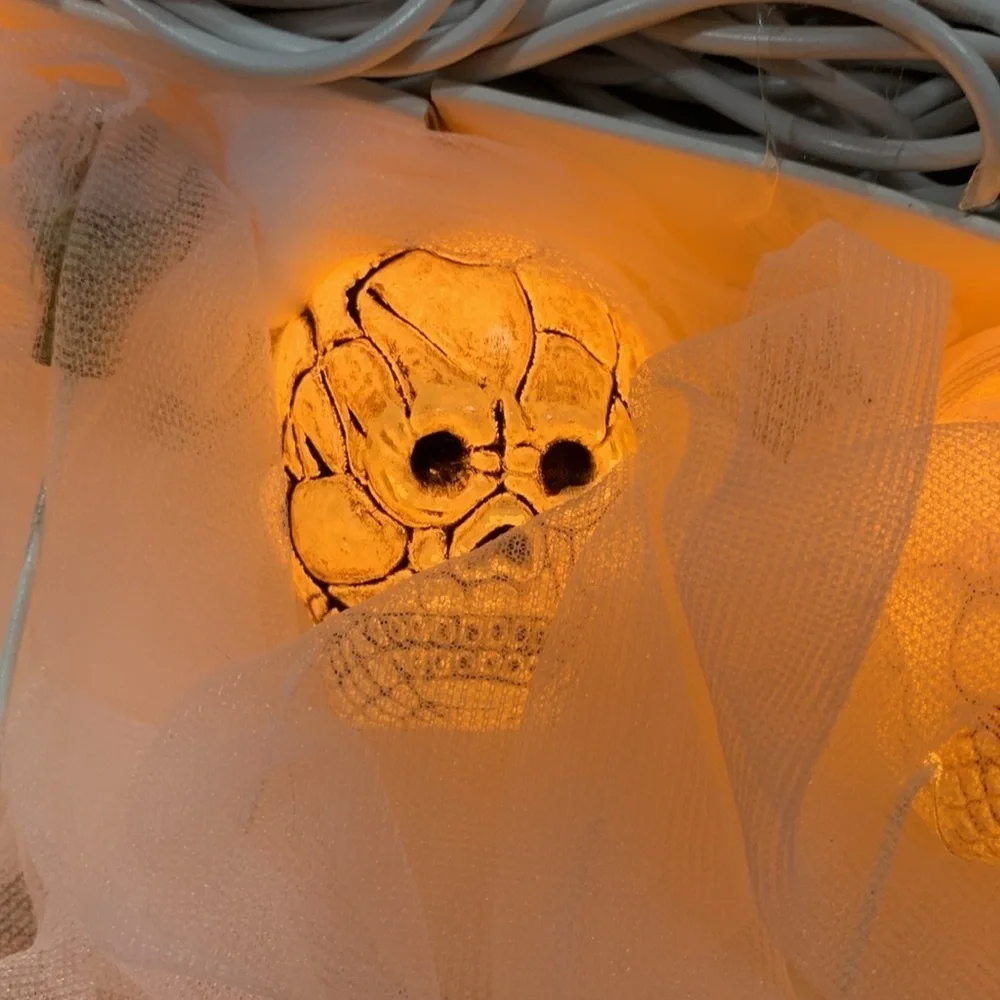 Spooky Village Skeleton Lights New Open Box